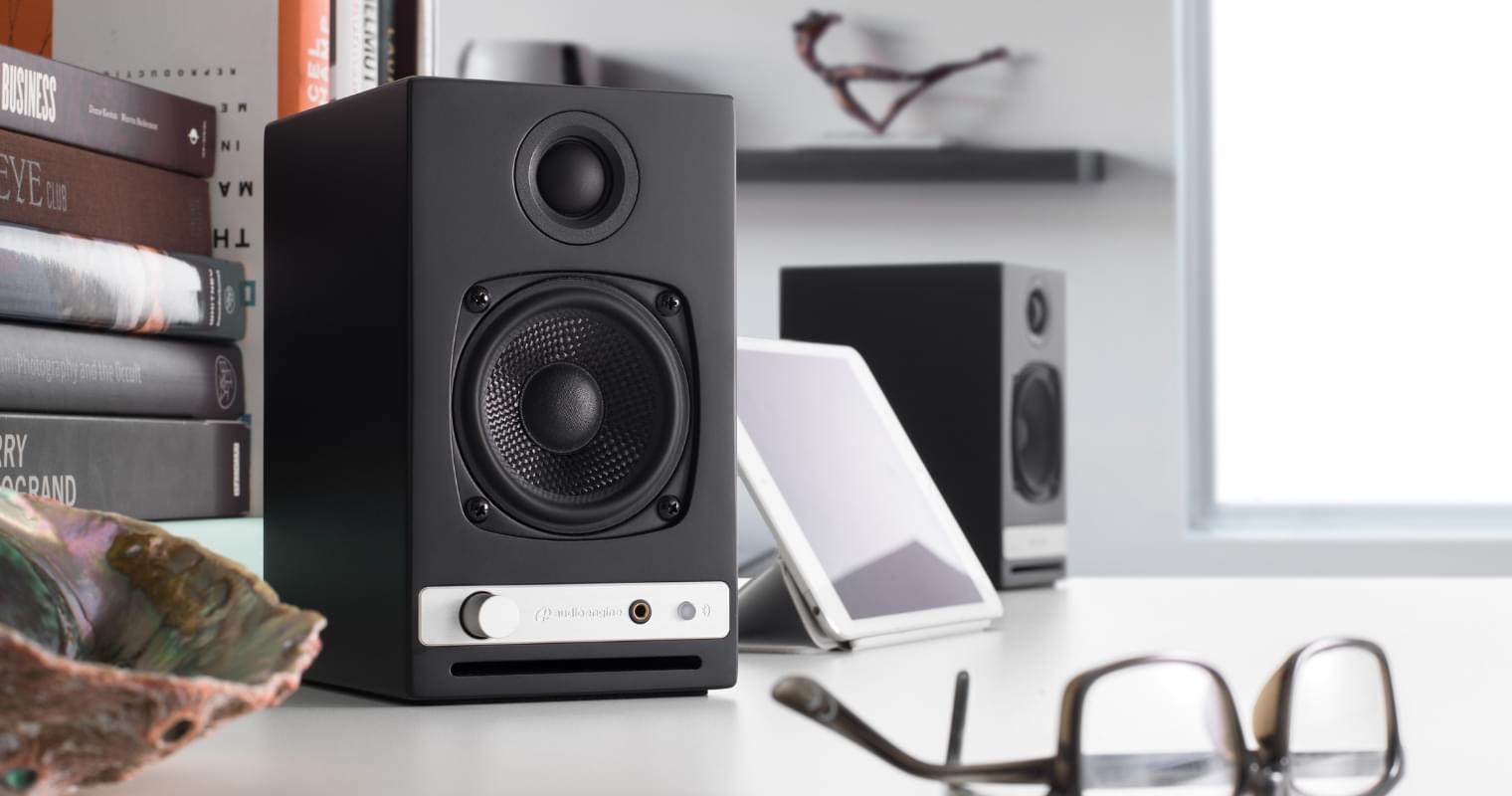 Black speaker