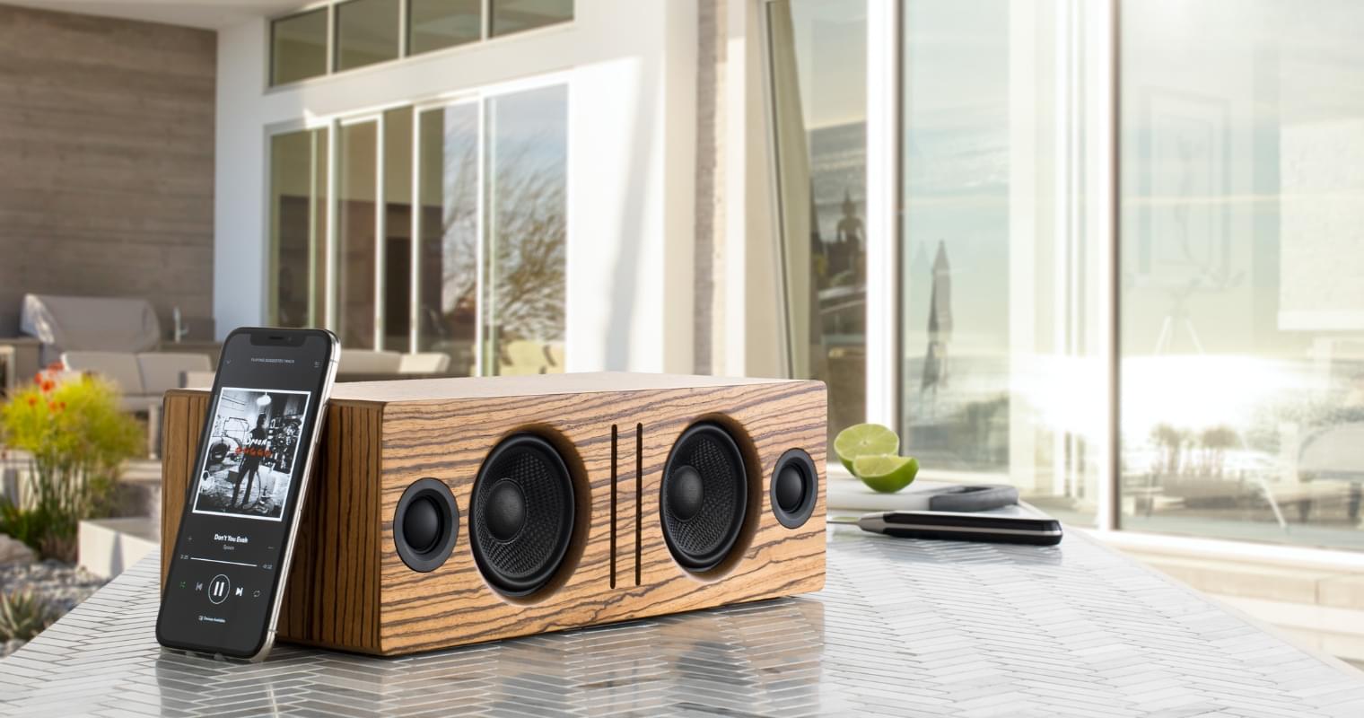 Brown speaker