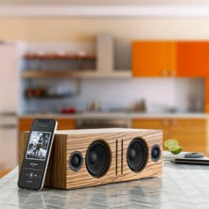 Brown Speaker
