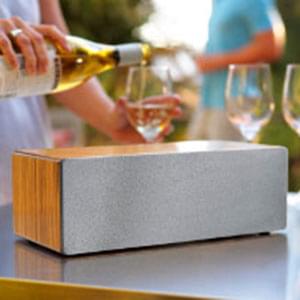 Brown Speaker on a patio with glass of white wine in the background